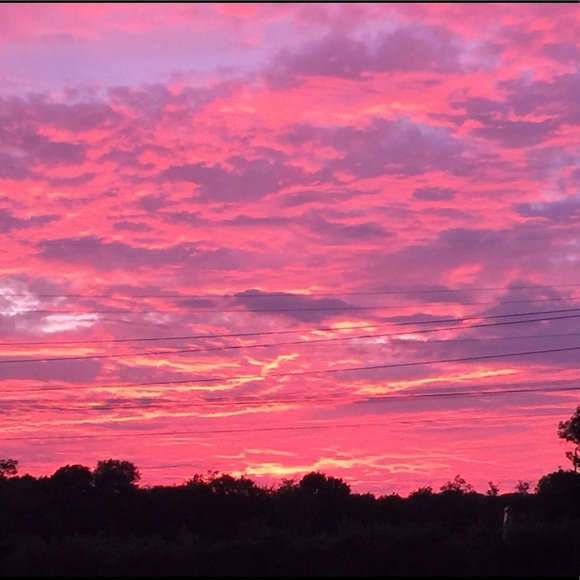 Meet your Posher, Lisa - Picture 2 of 8